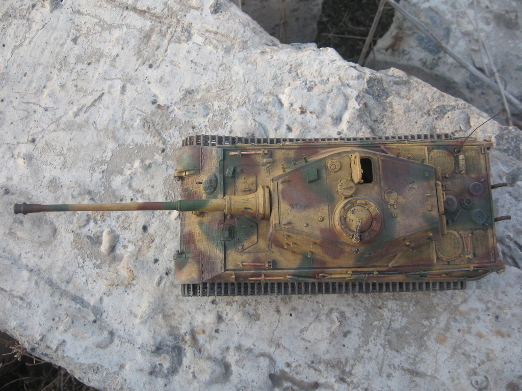 Королевский тигр