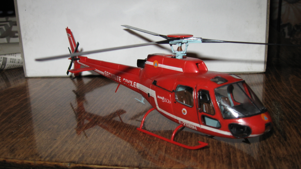 ECUREUIL BOMBARDIER D'EAU