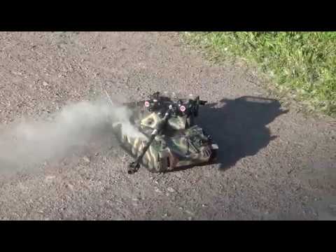 Rheinmetall-Borsig Waffenträger 1/16