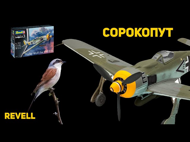 Самолёт и птица... КАК ЭТО СВЯЗАНО? Обзор сборной модели FW-190 F-8 от Revell в 1/72