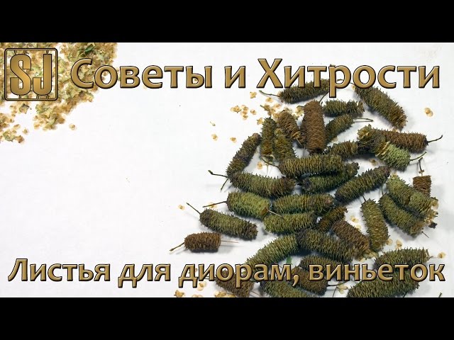 Советы и хитрости: листья для диорам, виньеток