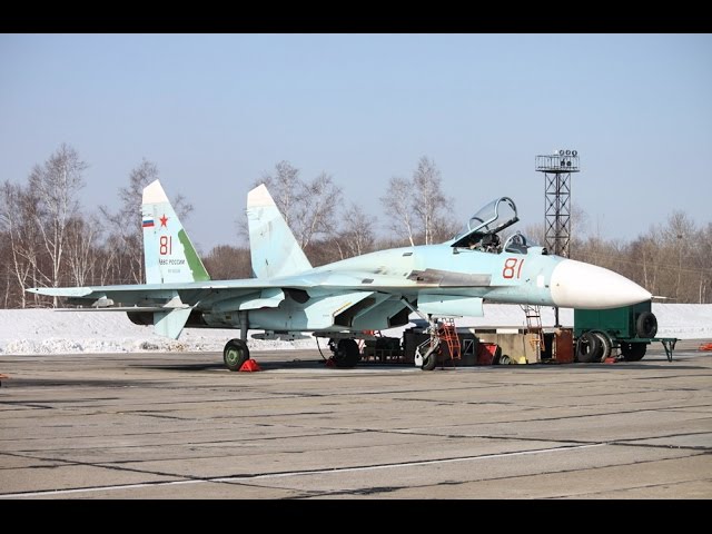 СУ-27СМ (Модель | 1:72 | Звезда) Часть 1