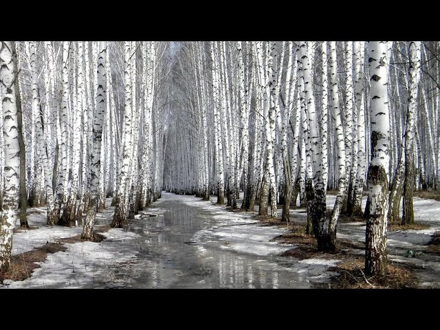 "Весенний Стрим" в МКС «Восточный Фронт» 12.03.21