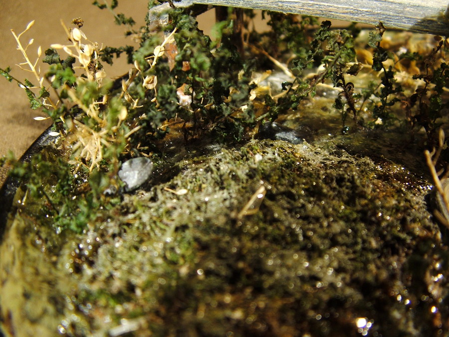 В поисках Водяного