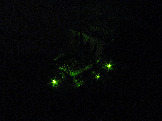Подсветка - зелёный (2).jpg