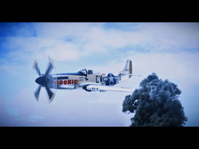 "Блестящий" Mustang P-51 "cookie" Revell 1/72