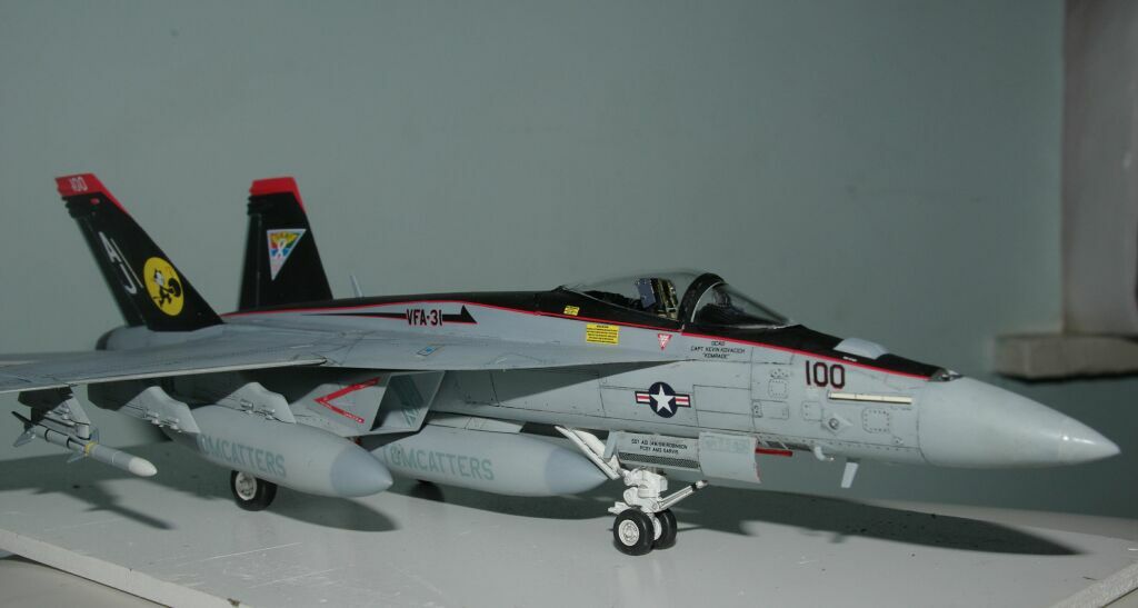 F-18E Super Hornet  Tomcatters