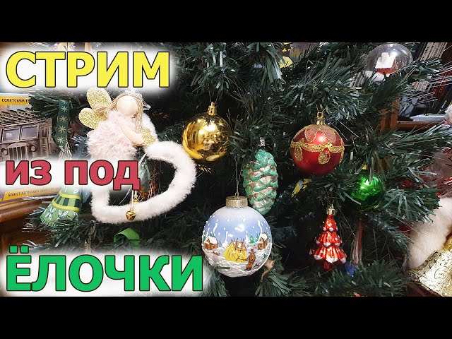 Стрим из под Ёлочки! в МКС «Восточный Фронт» 01-02.01.24