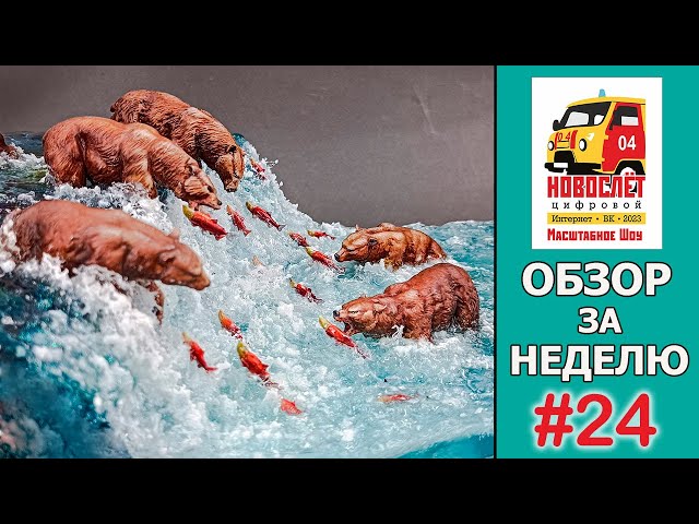 НовоСлёт Цифровой-2023. Обзор за неделю. Выпуск #24