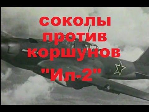 Соколы против коршунов (1 серия из 2) Ил-2 История жизни