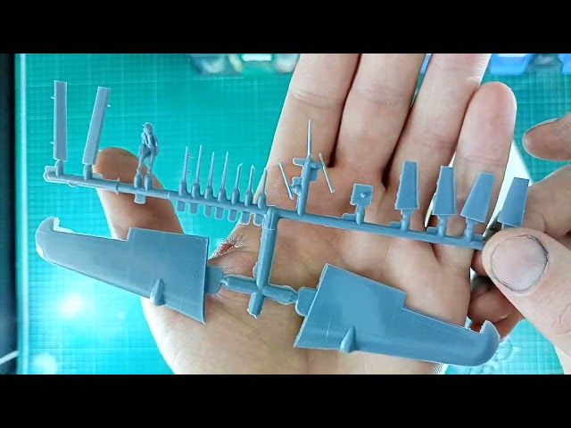 Обзор Morko Morane от MSD