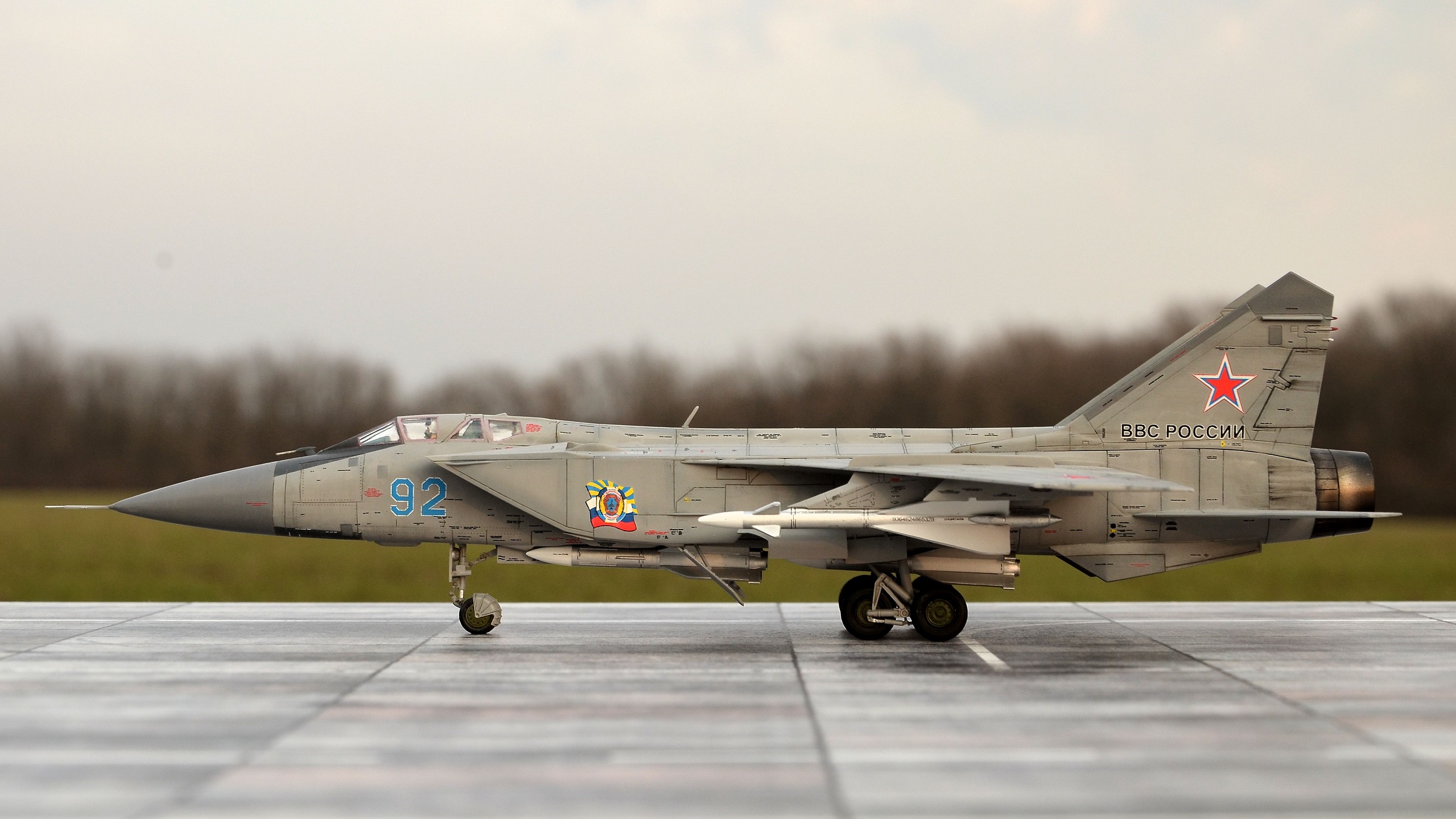 Миг 31 — Каропка.ру — стендовые модели, военная миниатюра