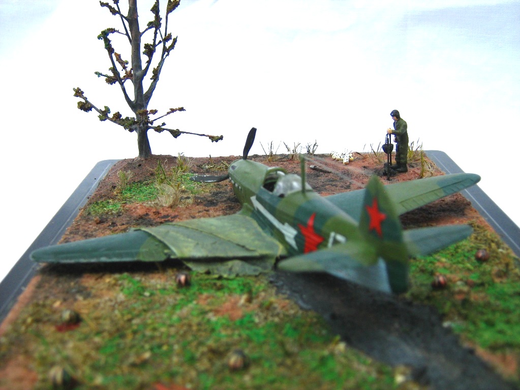 арбузы созрели.