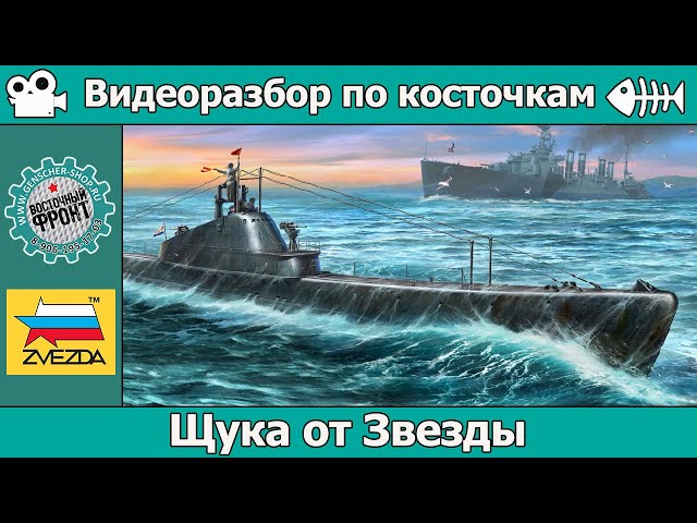 Разбор по косточкам: ОБЗОР Щука от Звезды (арт. 9041)