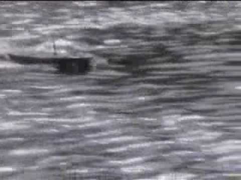 Ходовые испытания модели ТК пр.206М