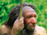 Neanderthaler-Wald-quer_1024x768.jpg