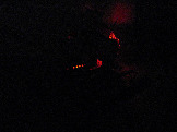 Подсветка - красный (1).jpg