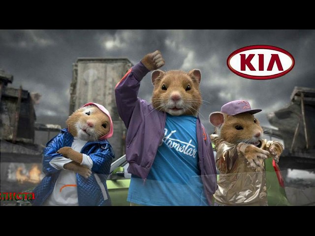 Хомяк - модельный запас