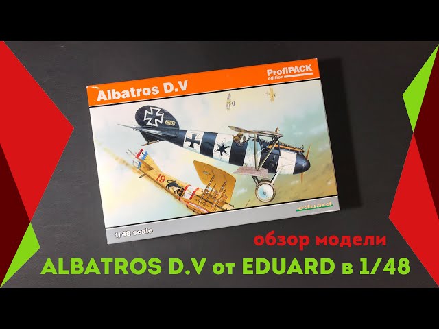 Обзор Albatros D. V от Эдуард