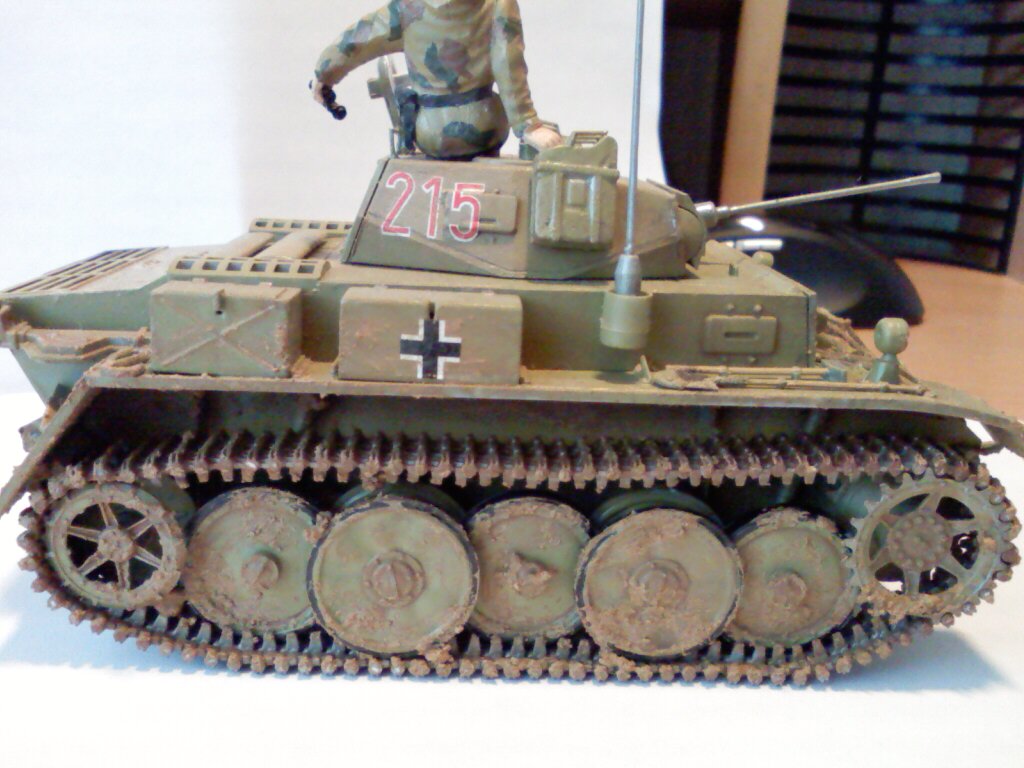 Рысь .новые фото