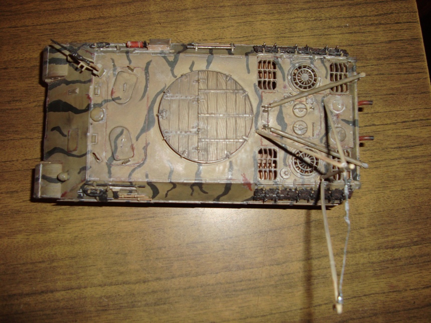 Бергпантера