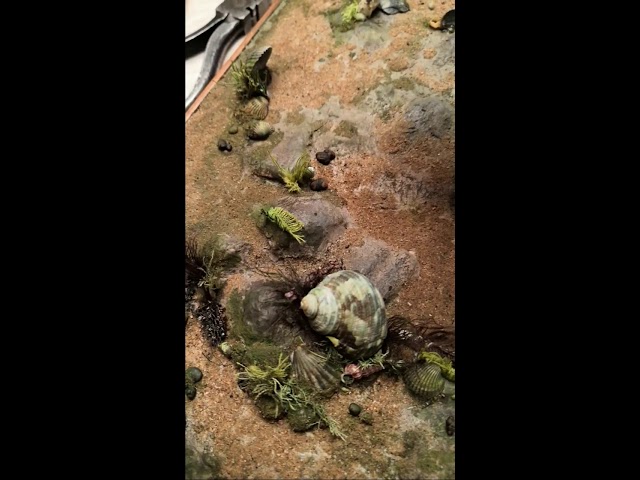 Оформление основания модели корабля