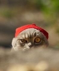 Александр Березинец