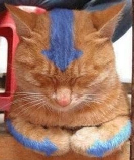 Роман Колосков