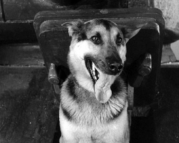 Юрий Жарков