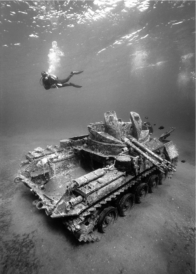 Максим Топольский