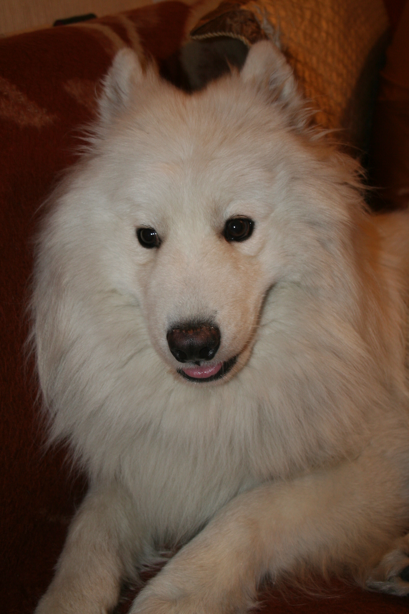 Сергей Збродько