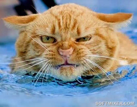 Сергей Гладкий