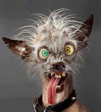 Владимир Морозов