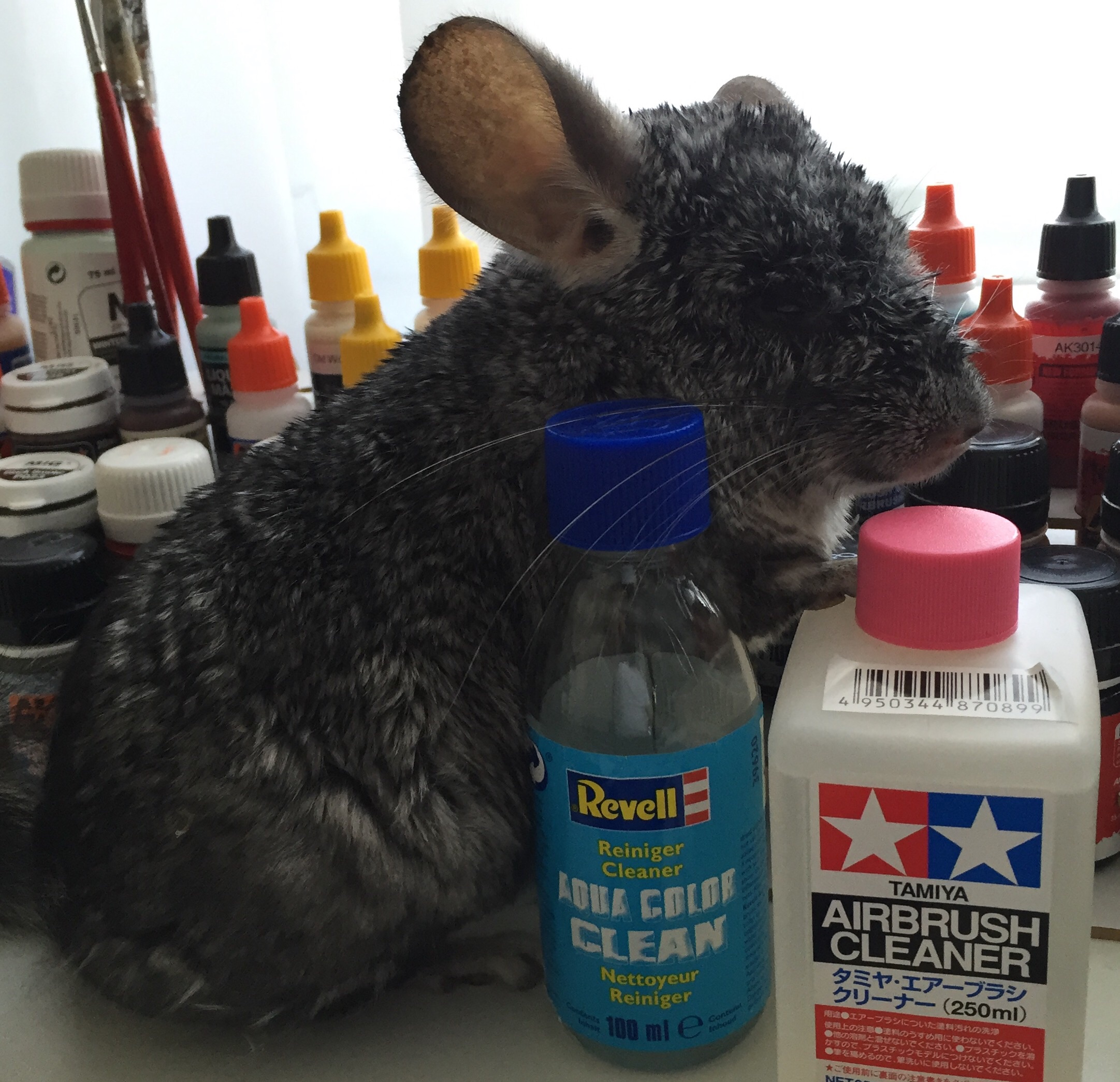 Артем Зайцев