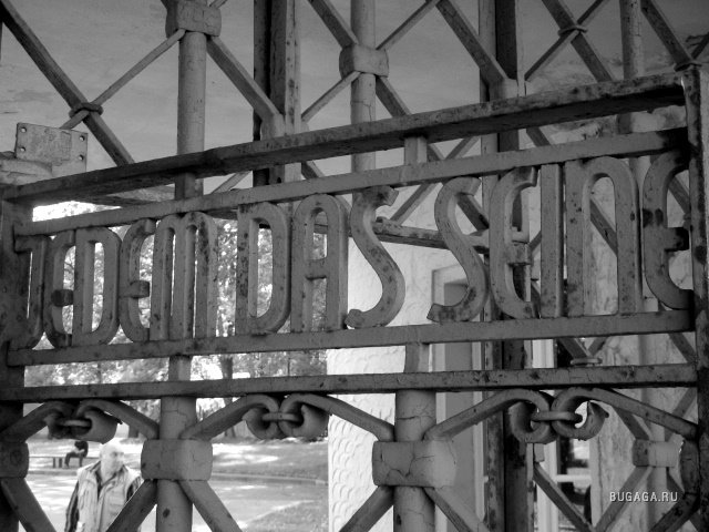 Вячеслав Сотников