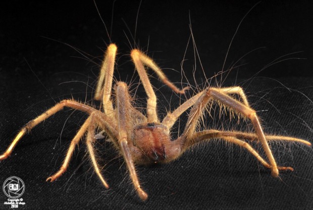 Иван Борисович