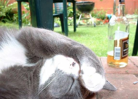 Артём Михайлов