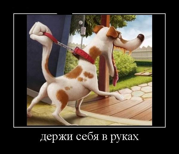 дима буравцов