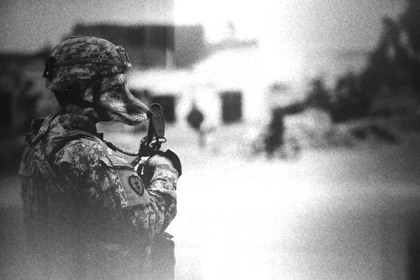 Данилов Геннадий