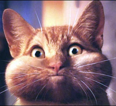 андрей гудович