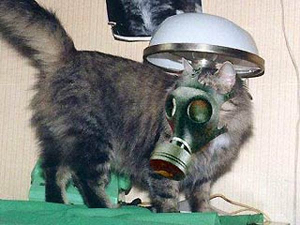 Hetzer(Кирилл)