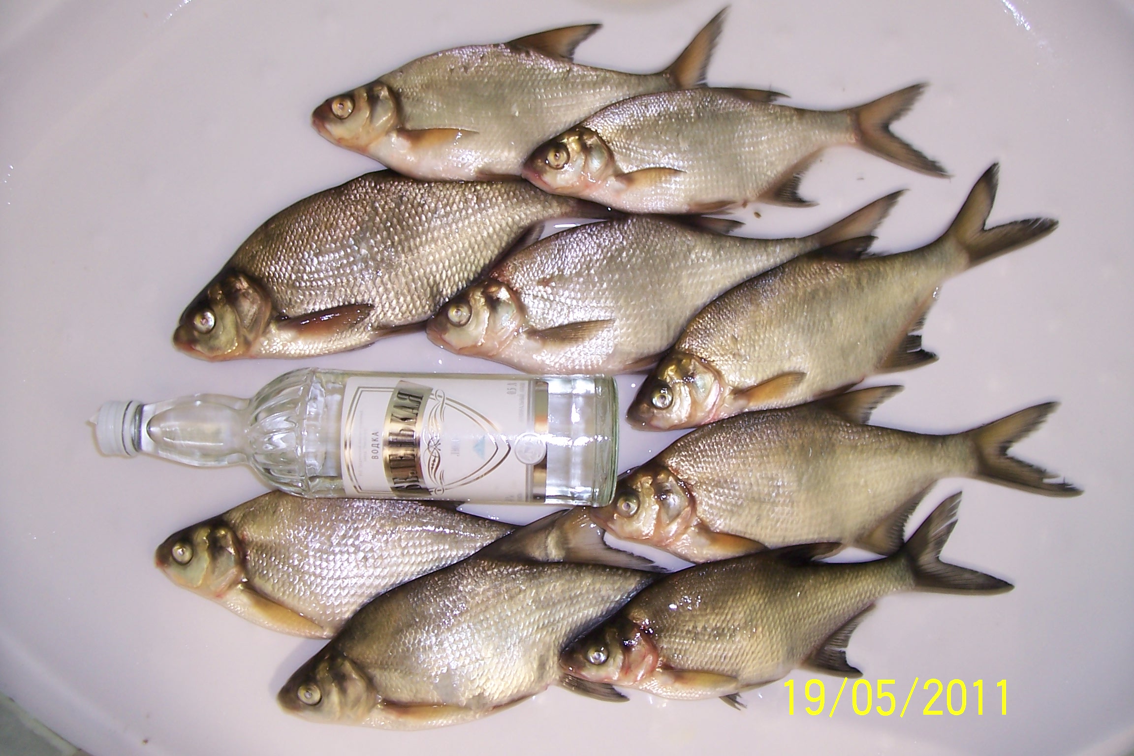 Вадим Зубцов