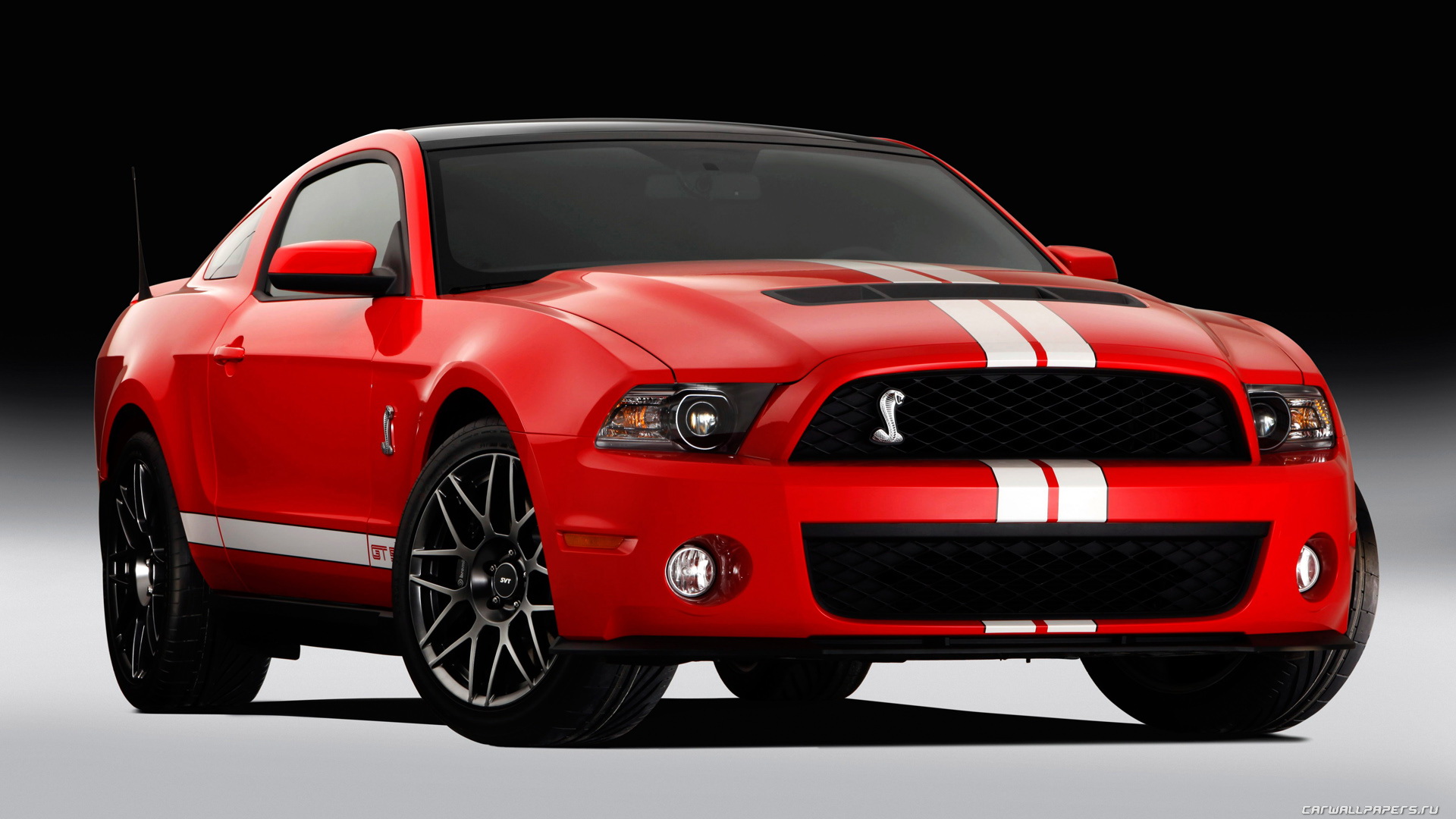 Алексей Падерин