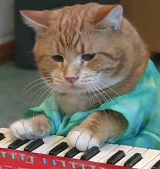 Владислав Кортиков