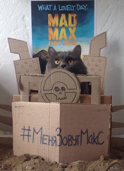 Макс Мордвинов