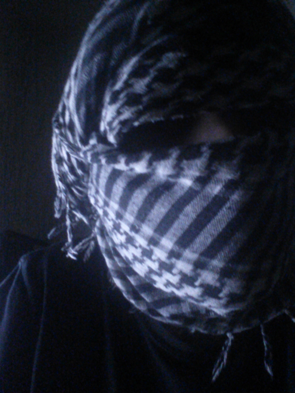 Илья Посадский