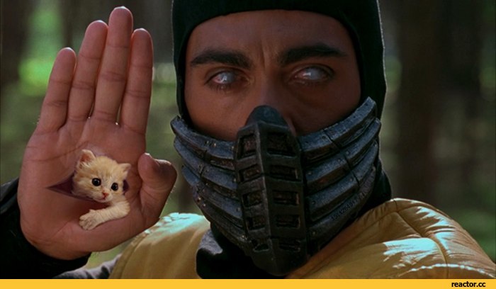 Николай Большаков