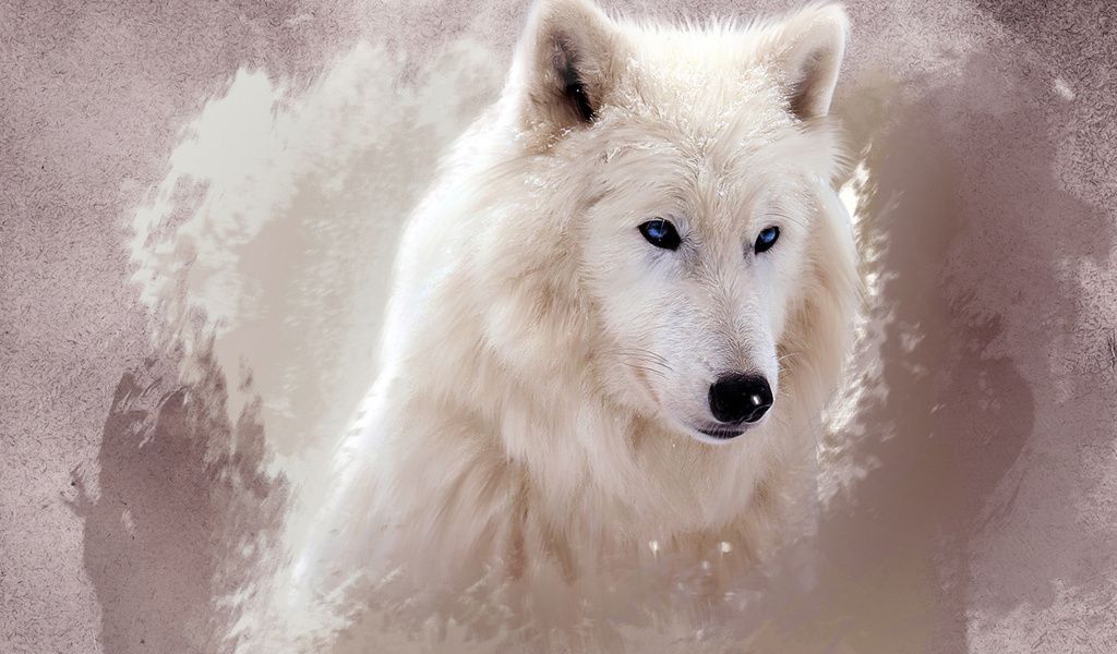 Иван Зубков