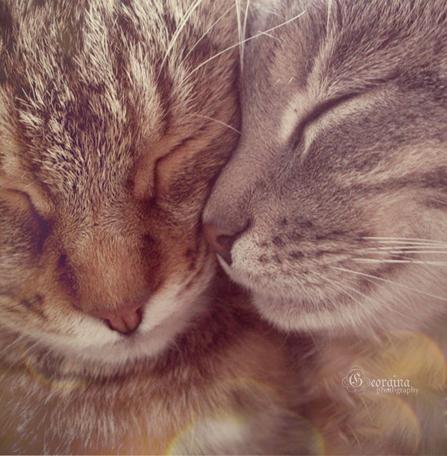 Павел Клевакин