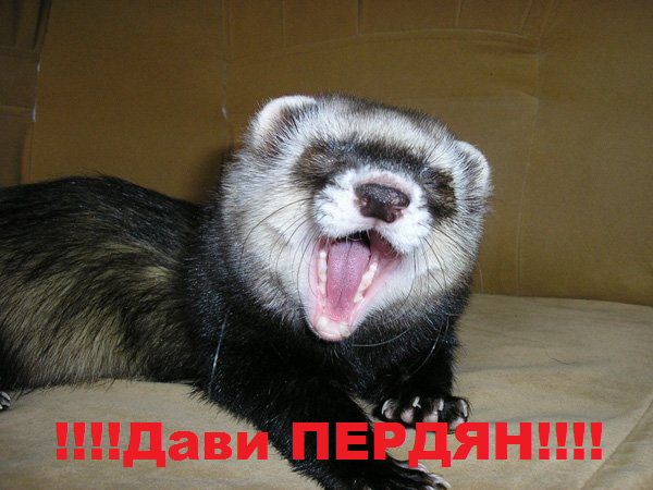 Богдан оооо